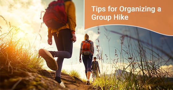 Group of hikers walking in mountain.